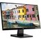 Hp prodisplay P223 21.5-inch monitor PC Monitors (TFT)